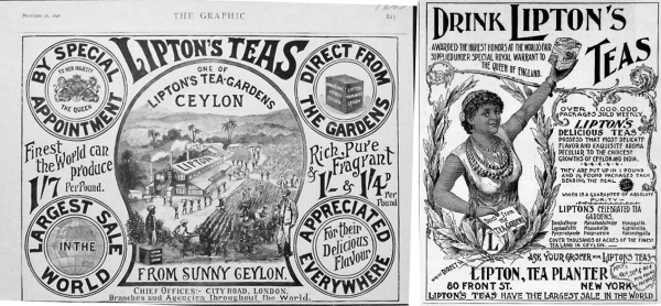 1895년과 1896년의 립톤 신문광고. [사진=도서출판 팬덤북스] 